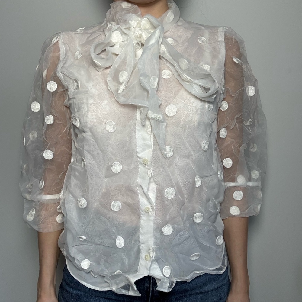 Zara Elegant White Sheer Polka Dot Blouse